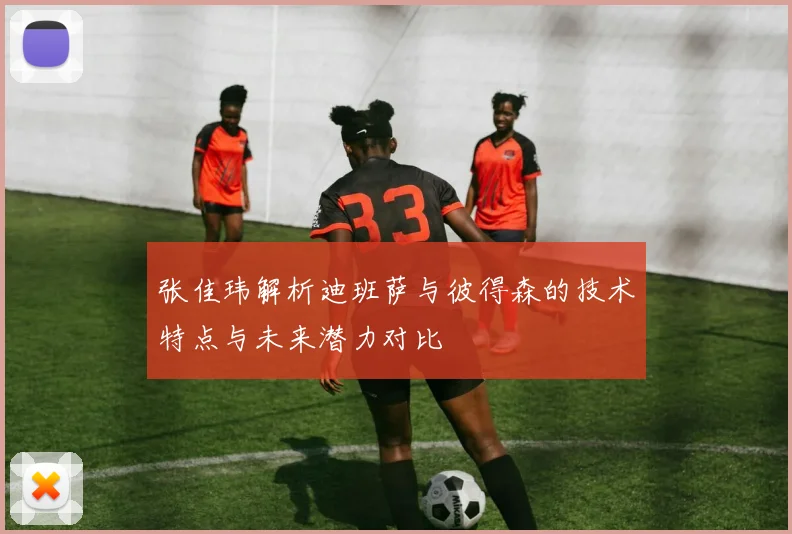张佳玮解析迪班萨与彼得森的技术特点与未来潜力对比