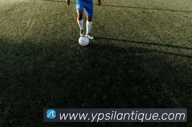 多彩内容专区